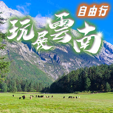 西南/雲南(自由行)