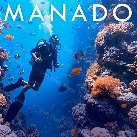 2/14.18.22.26 印尼~美娜多