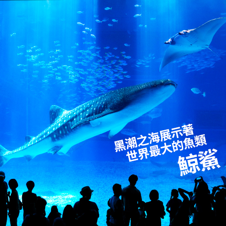 日本~沖繩(不進免稅店)