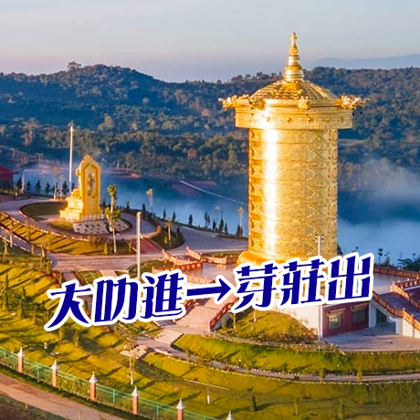 越南~芽莊+大叻