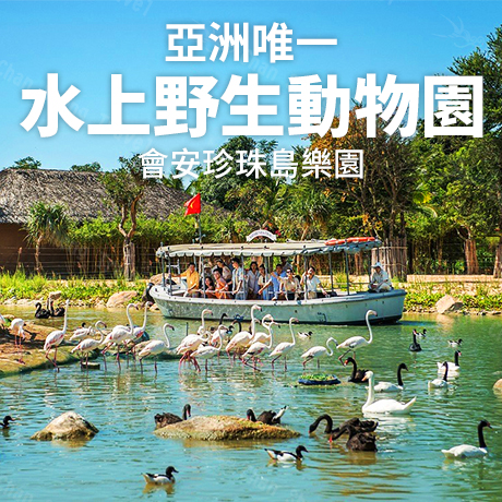 越南~峴港(無購物.雙樂園)